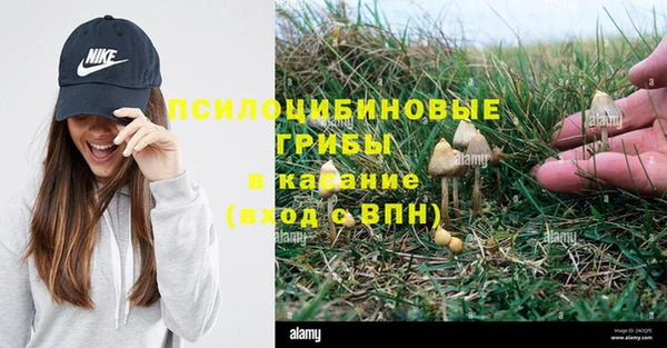 МДПВ Дмитриев