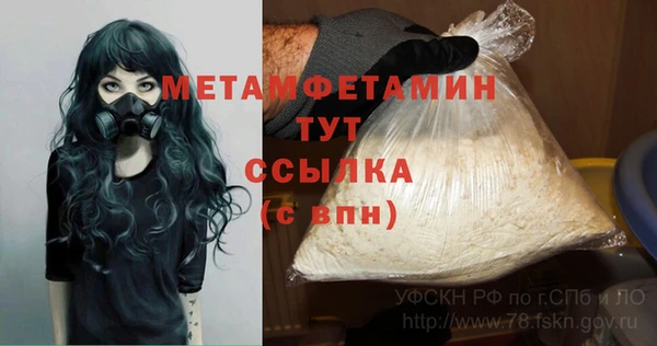 прущие грибы Дмитров