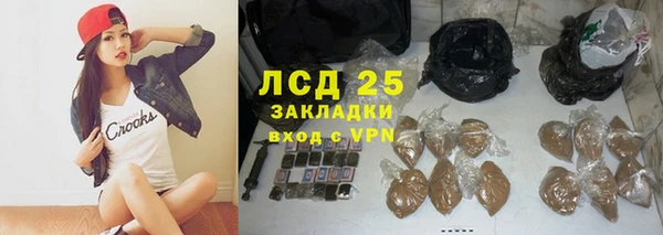 прущие грибы Дмитров