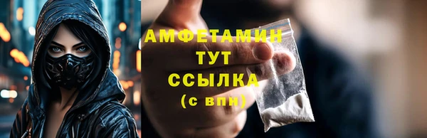 прущие грибы Дмитров