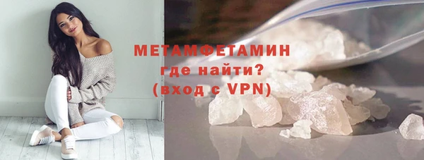 прущие грибы Дмитров