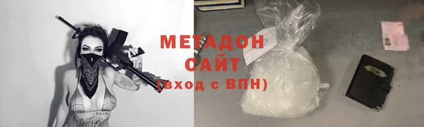 прущие грибы Дмитров