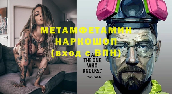 прущие грибы Дмитров