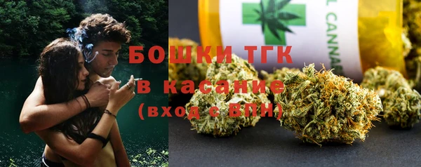 МДПВ Дмитриев