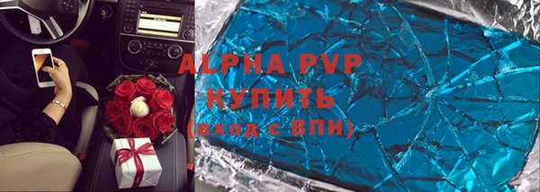 прущие грибы Дмитров