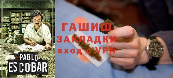прущие грибы Дмитров
