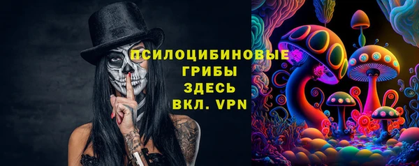МДПВ Дмитриев