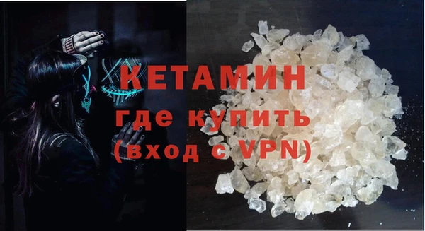 прущие грибы Дмитров
