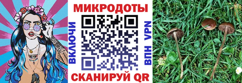 блэк спрут онион  Пласт  Галлюциногенные грибы Magic Shrooms  маркетплейс телеграм  магазин продажи наркотиков 